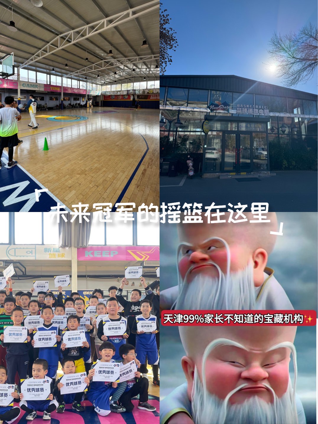 篮球评论员如何评价总决赛中的新星表现